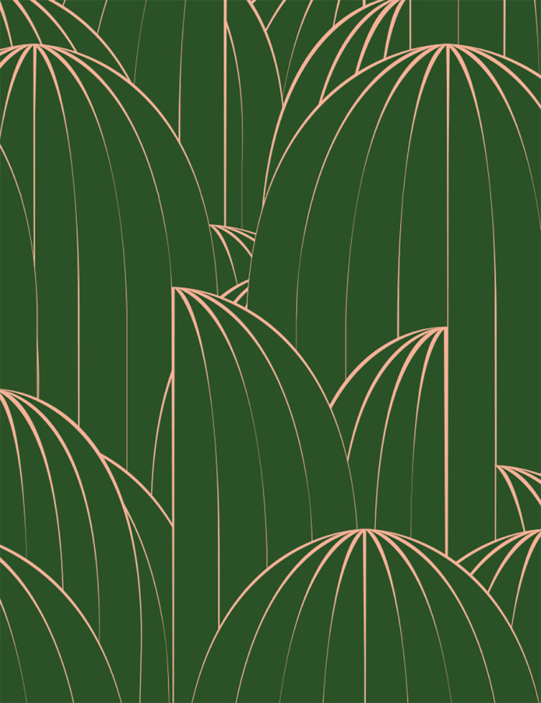 Custom cactus wallpaper for The Deco