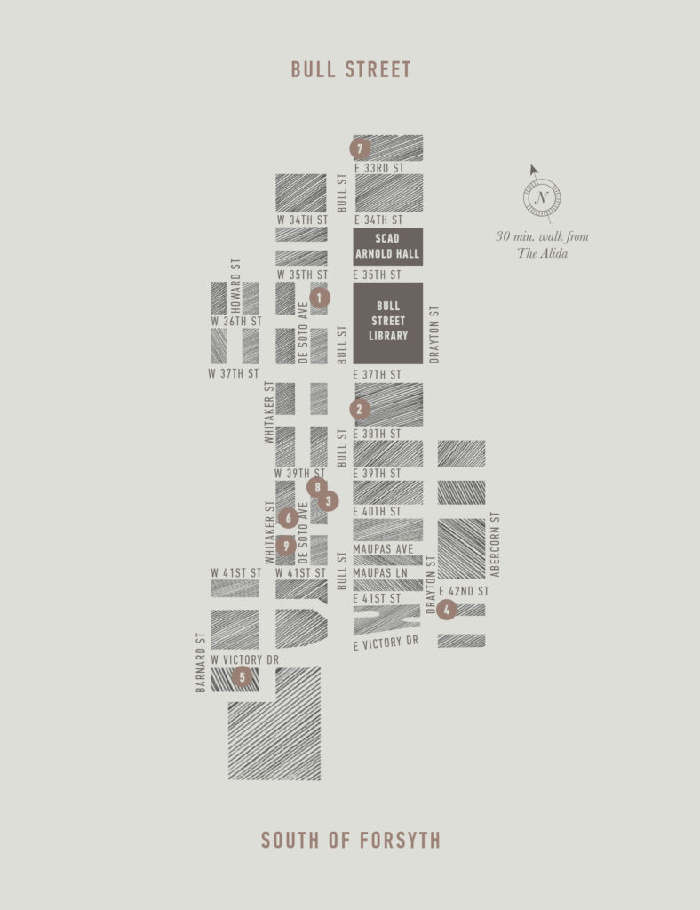 Alida city guide map illustration