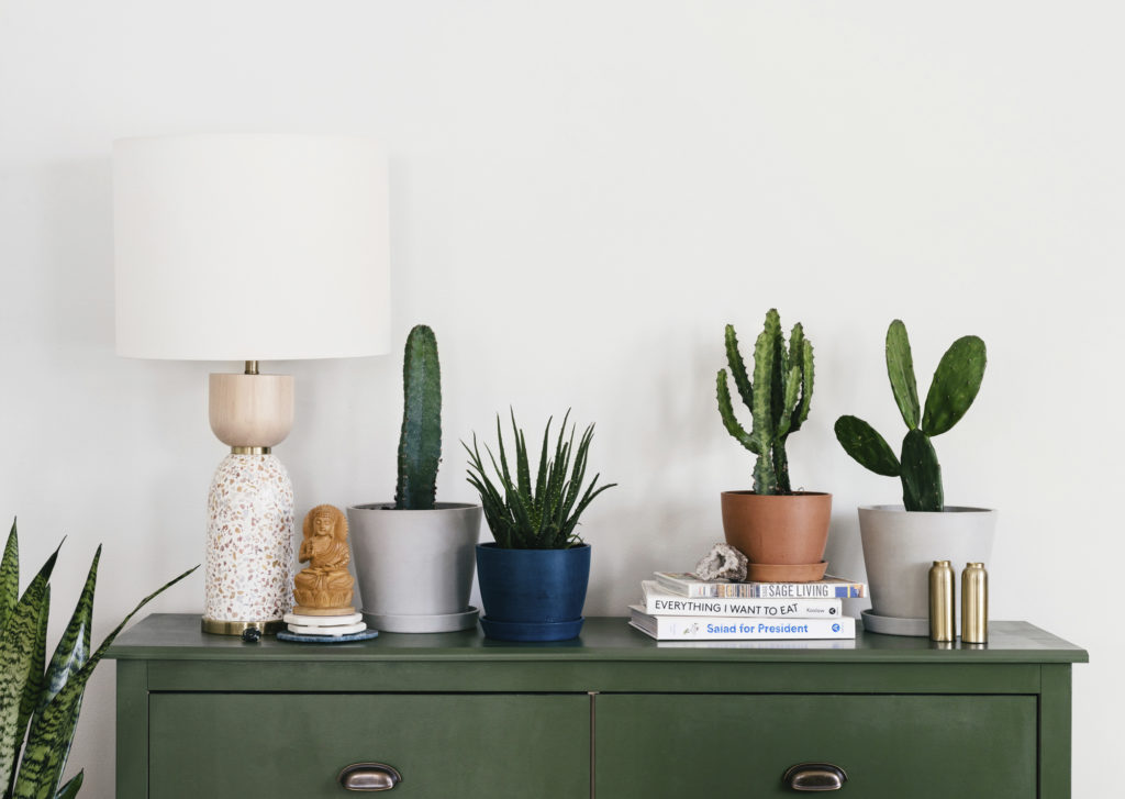 Dresser topped with plants and lamp