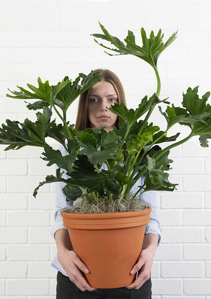 woman holding plant