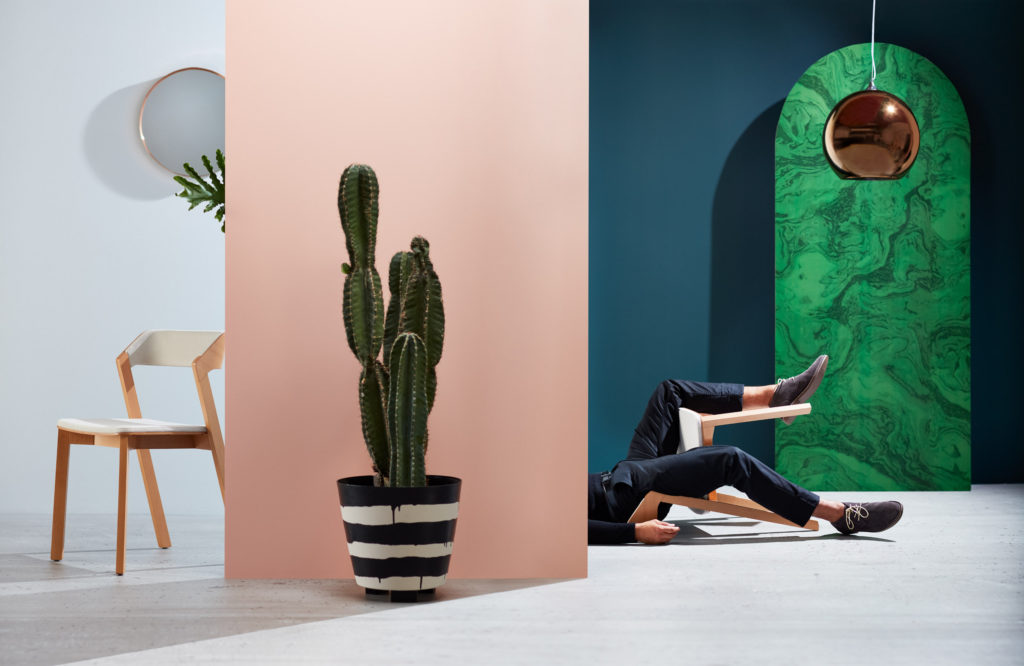 Artistic shot of chairs with man and cactus